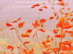 -北京西山国家森林公园