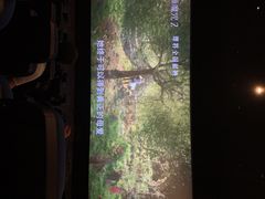 -博纳国际影城(淄博店)