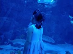 -成都浩海立方海洋公园