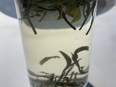 绿杨春-花园茶楼(兴城西路店)