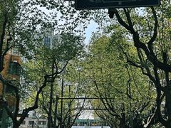 -步高里