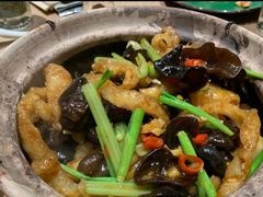 木耳花胶啫啫煲-阿西娅·西北妈妈拿手菜(华联店)