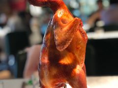 -五稻厨房粤西菜(新闻店)