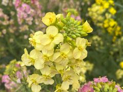 -中国天府农业博览园