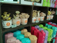 -盒马鲜生(大成店)