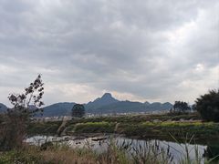 -王借岗森林公园