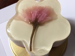 -云朵上的鱼(莘庄店)