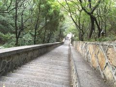 -嵩山少林文化旅游景区