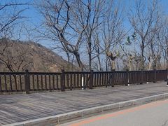 -棒棰岛宾馆景区