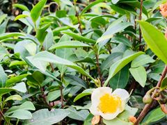 -天目湖御水温泉·度假酒店