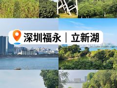 -立新湖公园