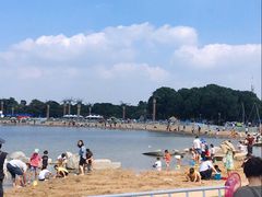 -上海月湖雕塑公园
