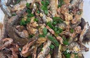 Mountain Stream Small Fish