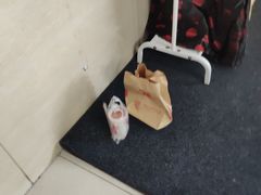 -三毛烤鸡(清泰街店)