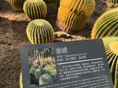 -北京植物园-展览温室