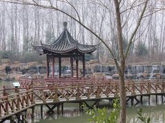 -合肥滨湖国家森林公园