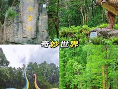 -佛冈森波拉度假区