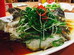 -御唐府海珊瑚主题餐厅