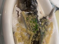 姜茸蒸泉水鲩-勝記酒家·37年老字号·经典粤菜(荔枝公园店)