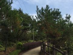 -广东大峡谷