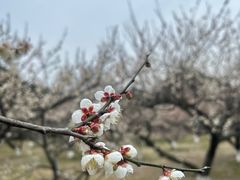 -白马涧龙池景区