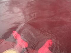 -天目湖涵田半山温泉