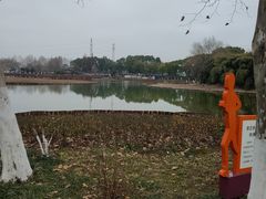-金银湖国家城市湿地公园