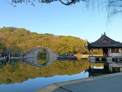 -鲁镇