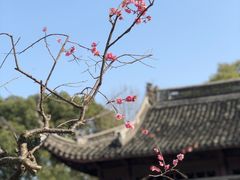 -宁波市保国寺古建筑博物馆