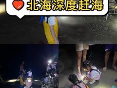 -北海金海湾红树林生态旅游区
