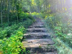 -紫金山山顶公园