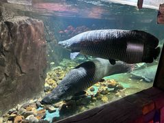 -嘉兴海底世界