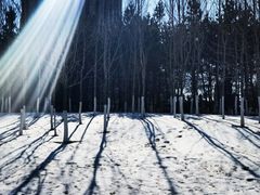 -长春世界雕塑园冰雪艺术天地