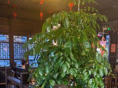 -香满楼(临安路店)