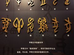 -嘉定博物馆