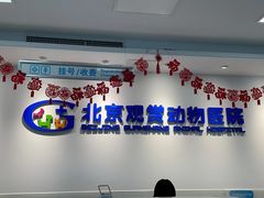 -北京观赏动物医院·24小时大型综合·猫专科·异宠专科