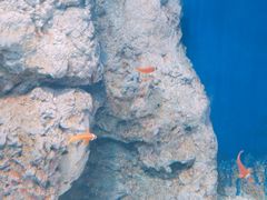 -福州罗源湾海洋世界旅游区