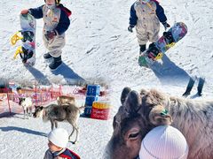 -东北亚滑雪场
