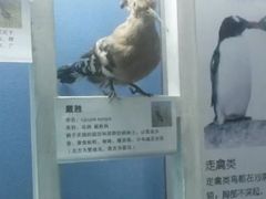 -泗洪洪泽湖湿地景区