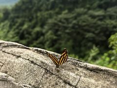 -香桥岩溶国家地质公园
