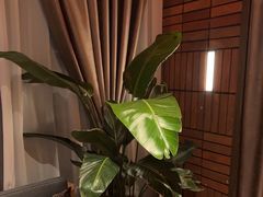 -泰合玺·精油疗愈SPA(狮山天街生活广场店)