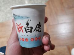-新白鹿餐厅(金鹰新街口店)