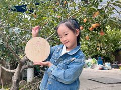 -大连北马山庄