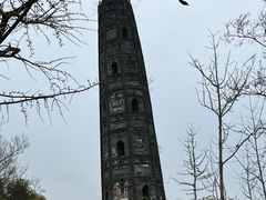 -上海佘山国家森林公园天马山园