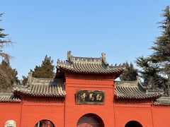 -洛阳白马寺