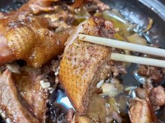 -百家春好德来姜母鸭