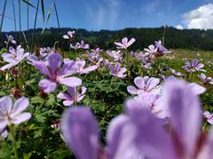 -赛里木湖风景名胜区