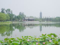 -西海子公园