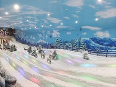 -世界之窗阿尔卑斯冰雪世界