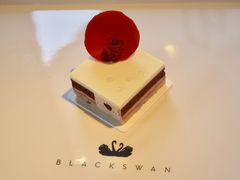 -BLACKSWAN黑天鹅(环球店)